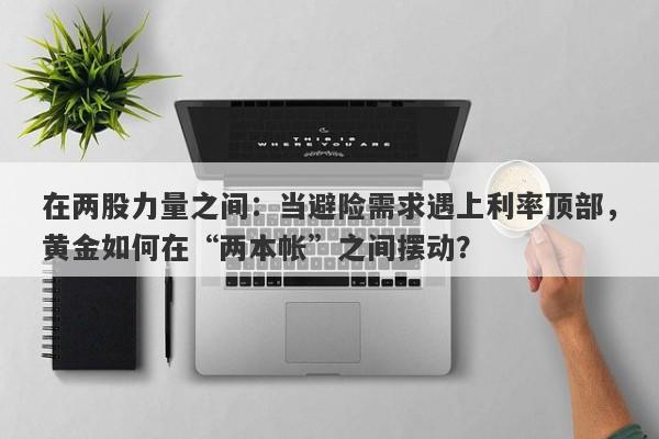 在两股力量之间：当避险需求遇上利率顶部，黄金如何在“两本帐”之间摆动？ 