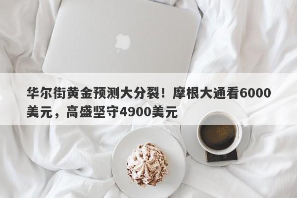 华尔街黄金预测大分裂！摩根大通看6000美元，高盛坚守4900美元
