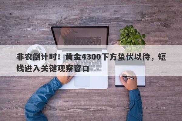 非农倒计时！黄金4300下方蛰伏以待，短线进入关键观察窗口