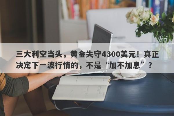 三大利空当头，黄金失守4300美元！真正决定下一波行情的，不是“加不加息”？