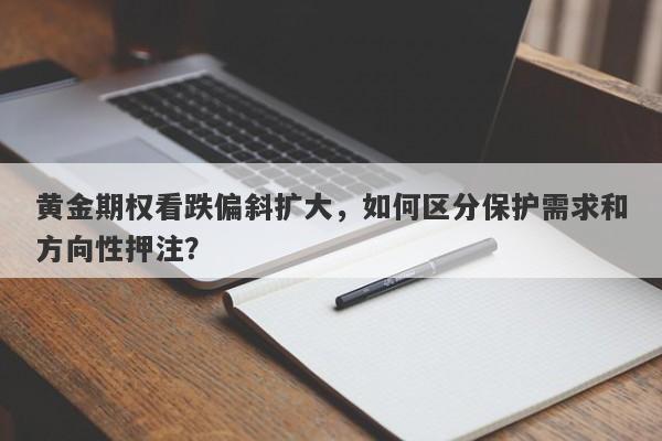 黄金期权看跌偏斜扩大，如何区分保护需求和方向性押注？